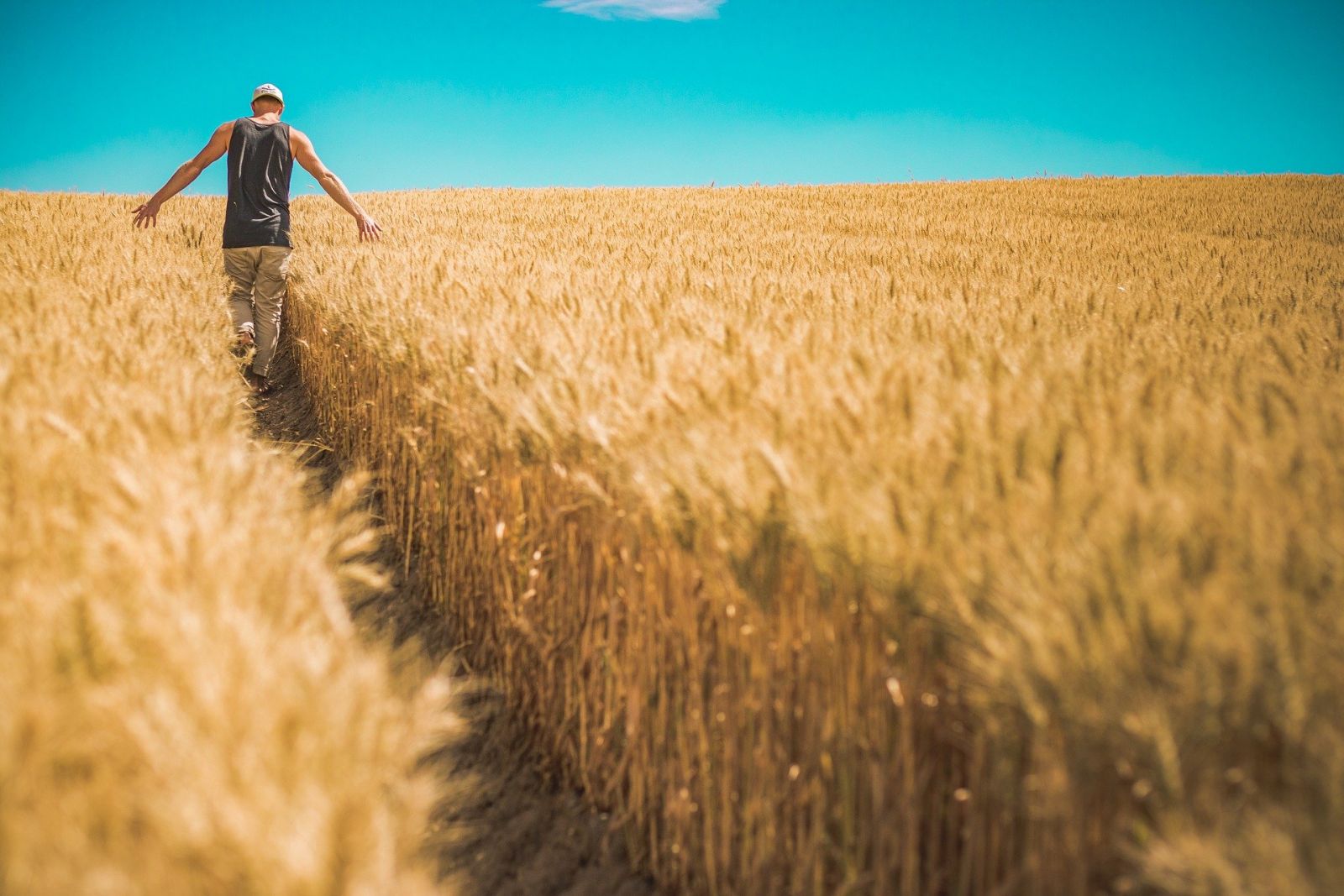 Loi Egalim : ajustements en perspective pour une meilleure rémunération des agriculteurs