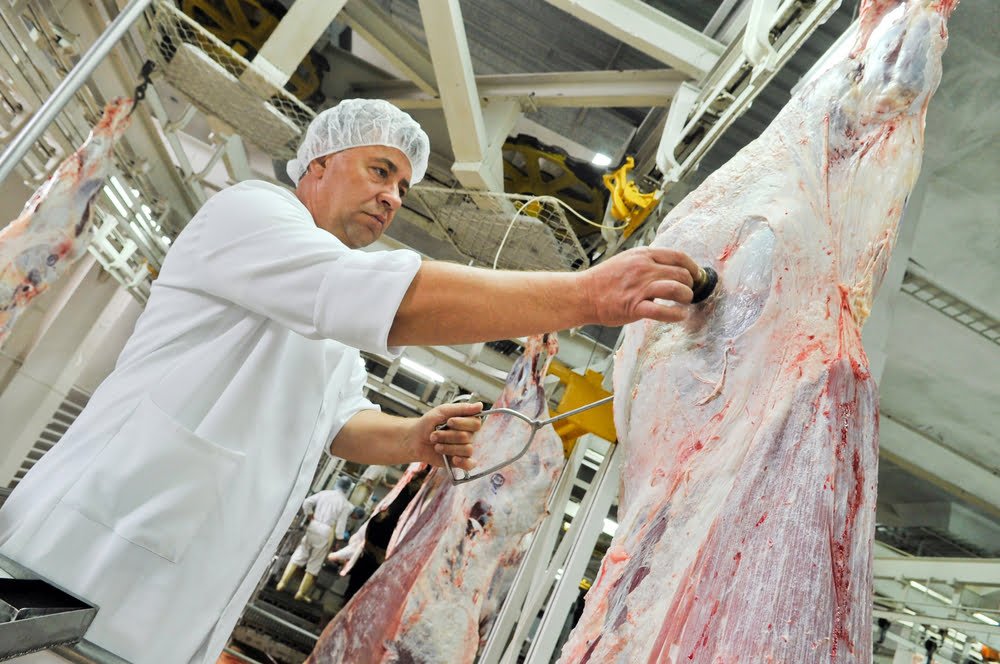 Abattoirs Prix Viande Boeuf