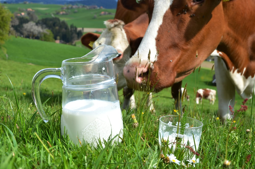 Agriculteurs Crise Beulin Solutions Taxe Distributeurs Fonds Argent