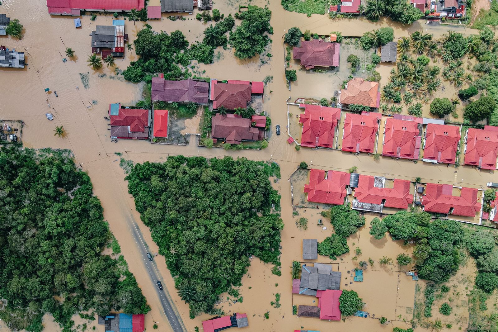 Augmentation Catastrophes Nat