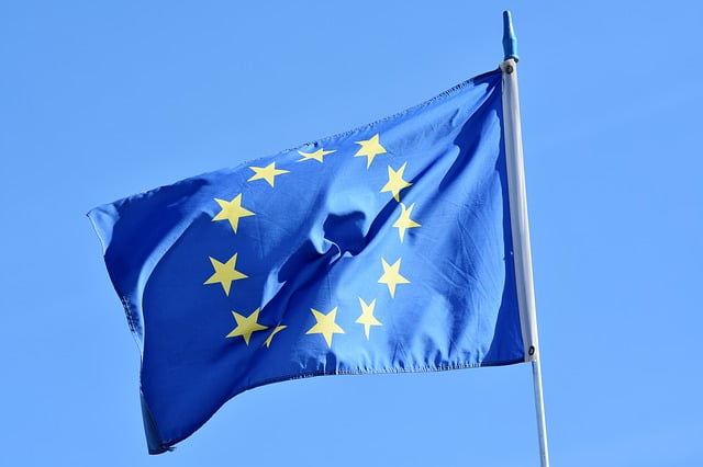 Banque Centrale Europeenne Successeur Mario Draghi