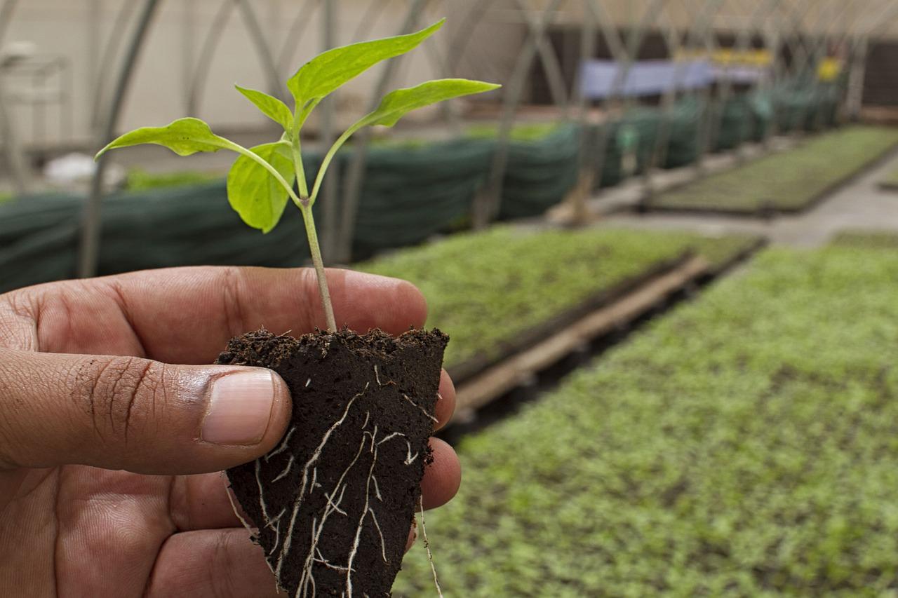 Bio Vente Baisse 2021 2