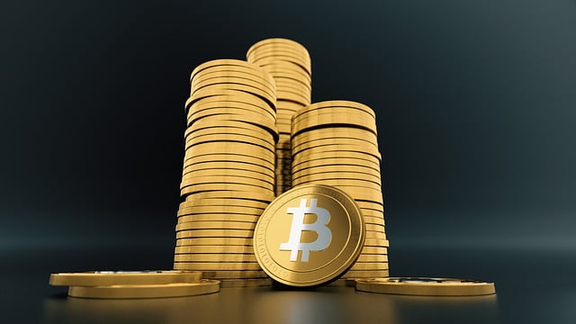 Bircoin Or Complementarite Monnaies Internet
