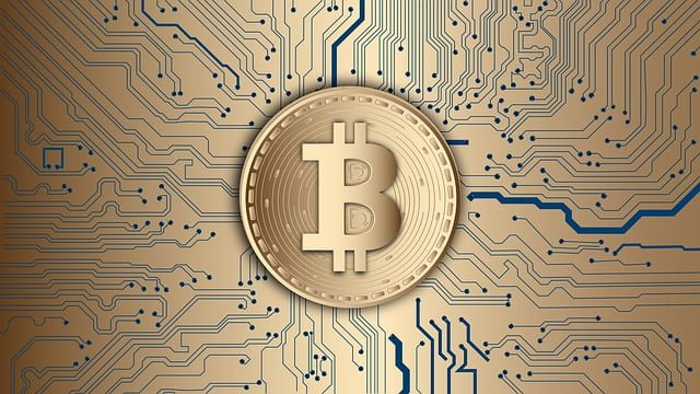 Bitcoin Pour Les Nuls
