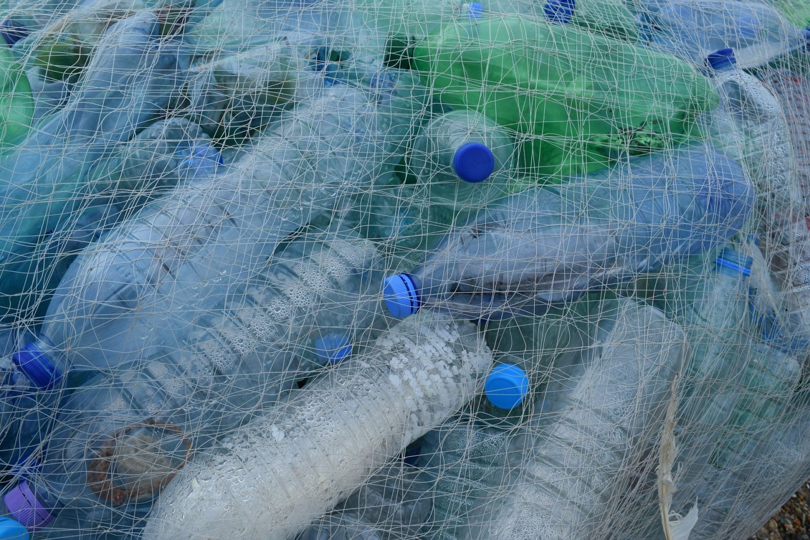 Bouteilles Plastiques Consigne