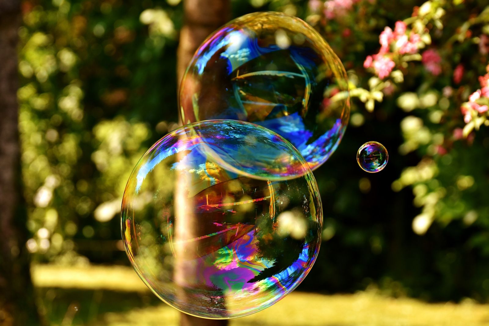 Bulles