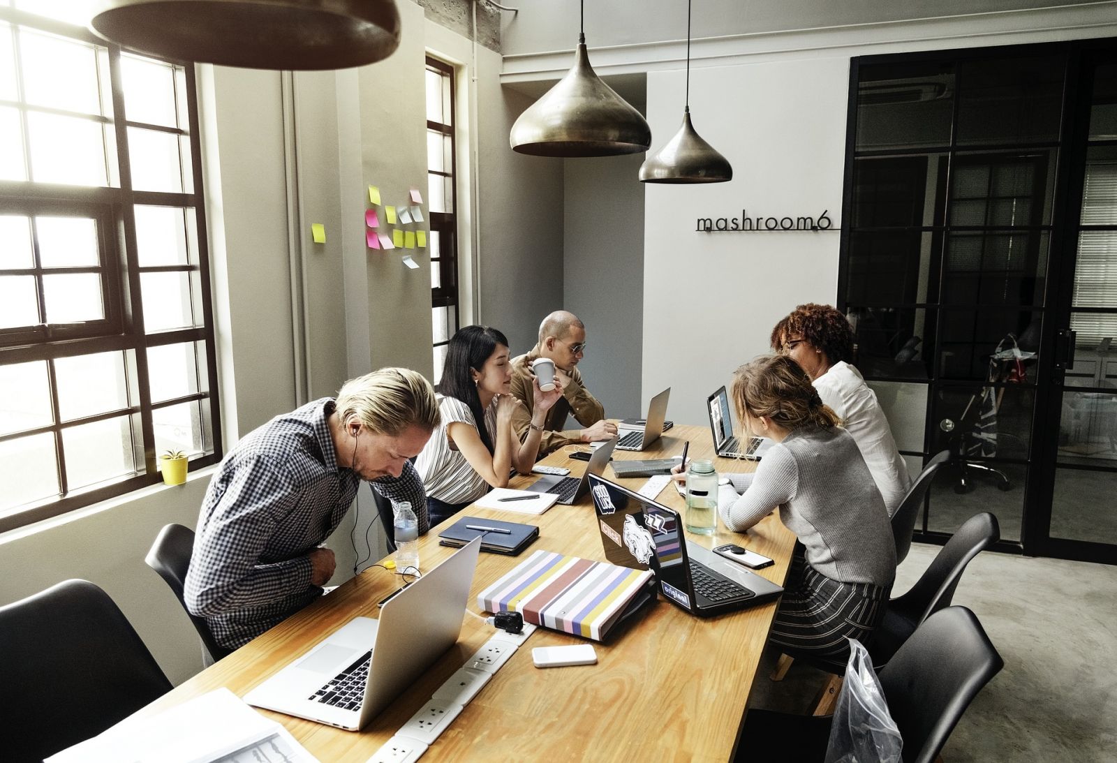 Bureau Ordinateurs Travail Chat