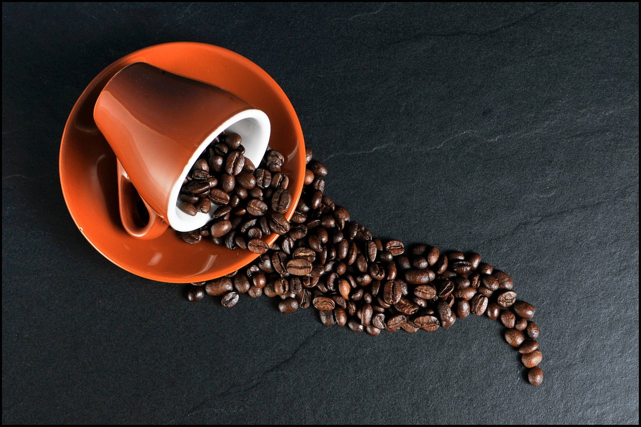 loto mercredi 26 octobre 2022 cagnotte Cafe