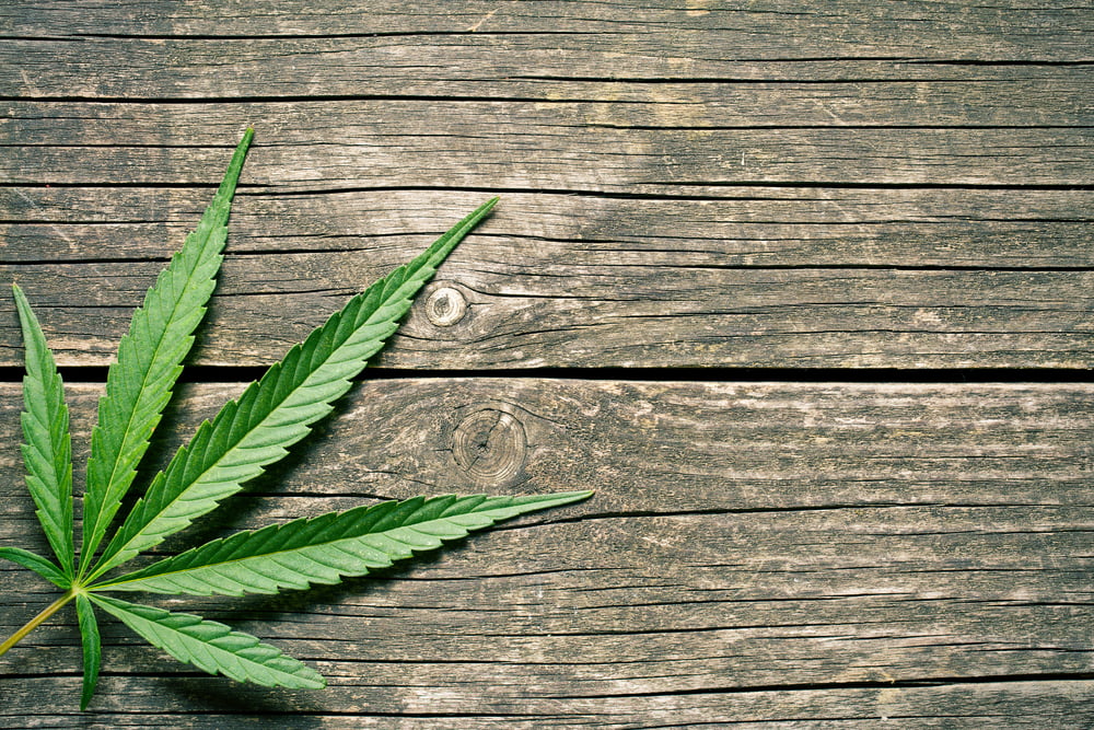 Cannabis Ghettos Resultats Priorite Gouvernement