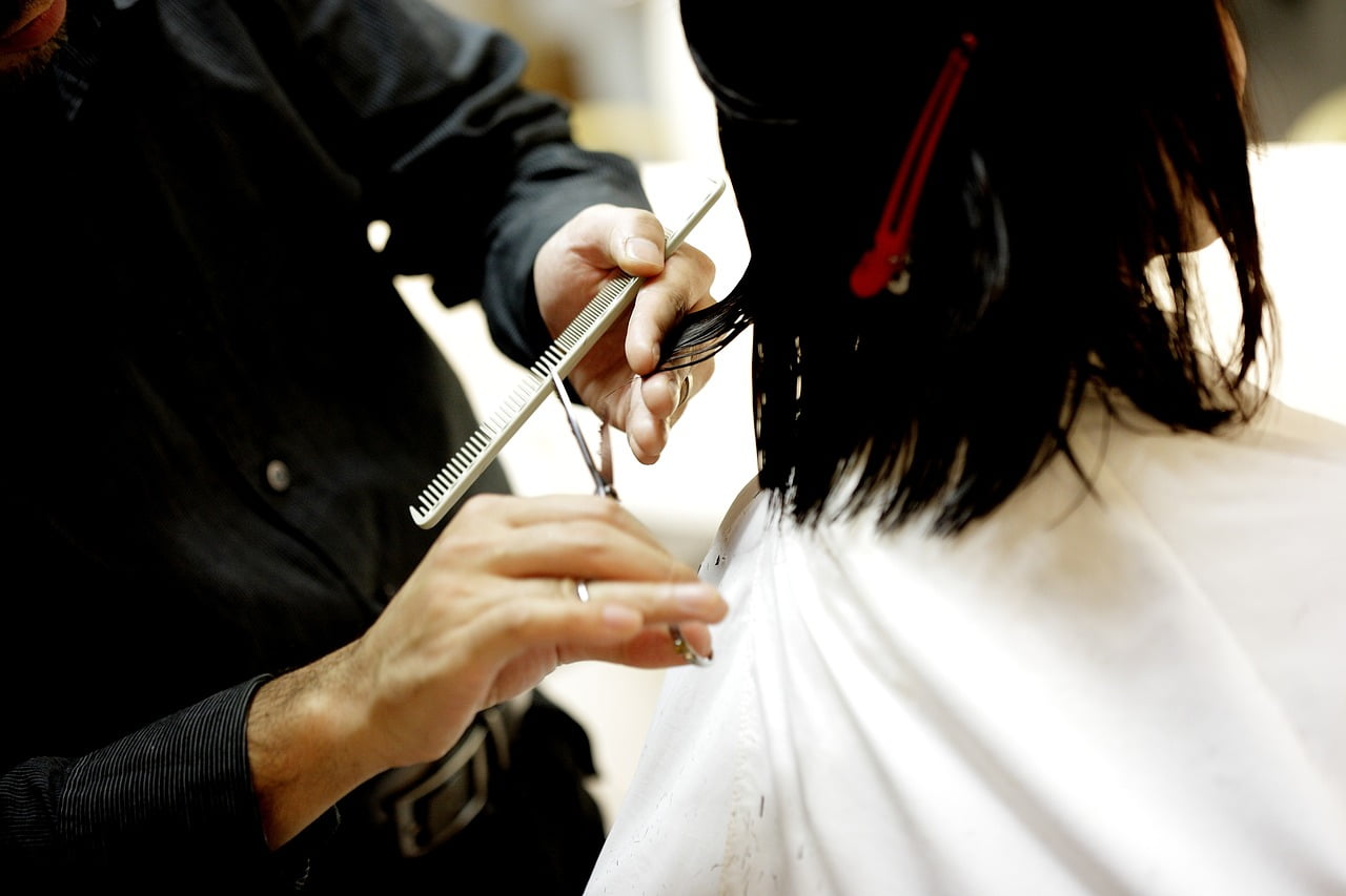 Coiffeur Hollande Polemique Argent Elysee Salaire Macron