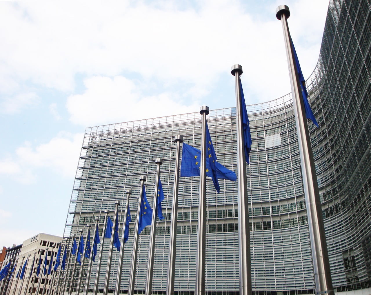 Commission Europeenne Kroes Scandale Corruption Ue Marche Unique