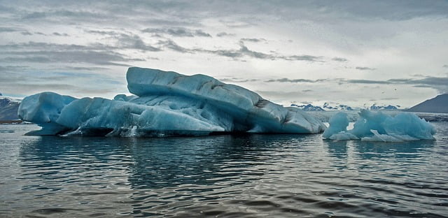 Cop22 Conference Climat Rechauffement Climatique