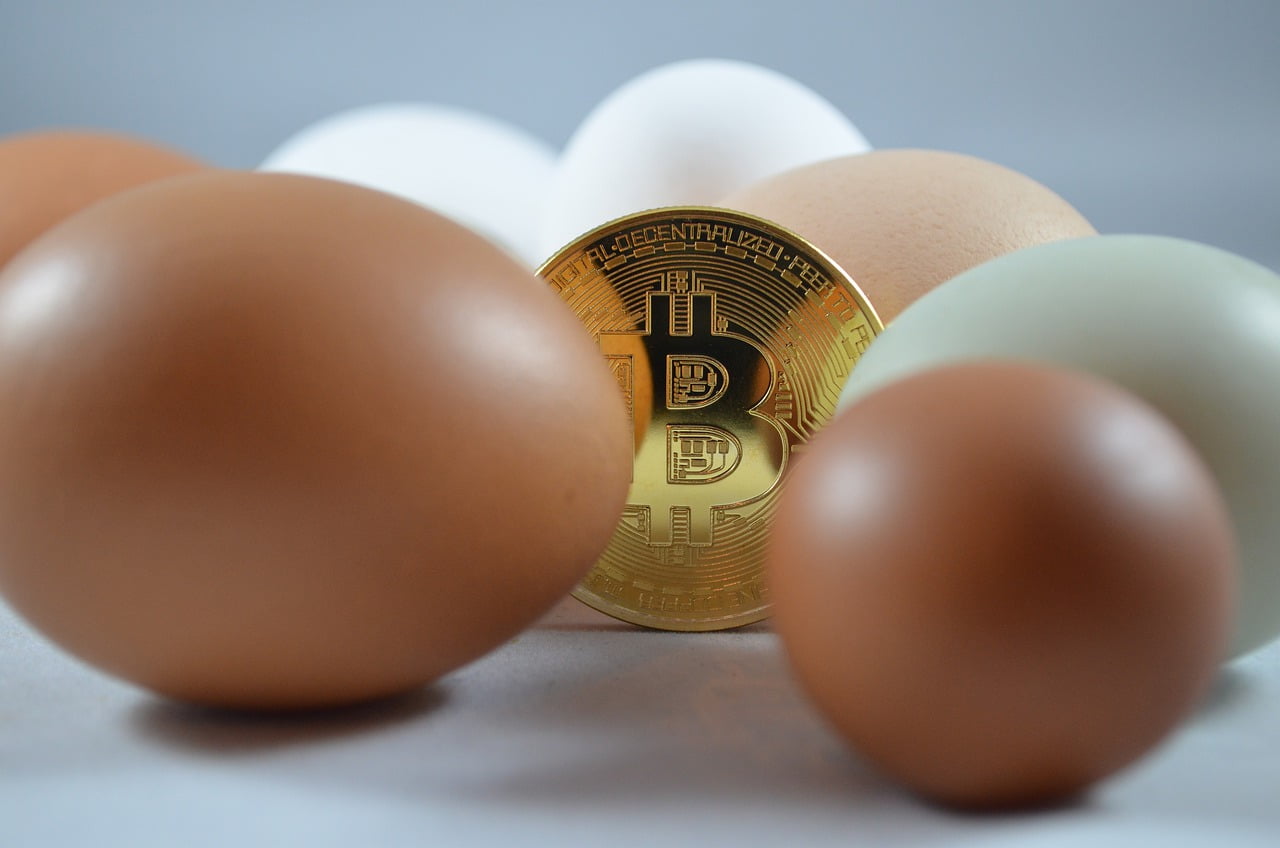 Cryptomonnaies Investir Son Argent 2021