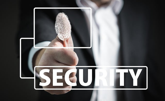 Cyber Criminalite Entreprises Piratages Risques