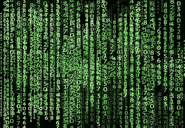 Cyber Securite Echec Mesures Courantes