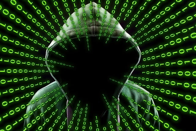Cybersecurite Protection Attaques Informatiques Nature Exemple