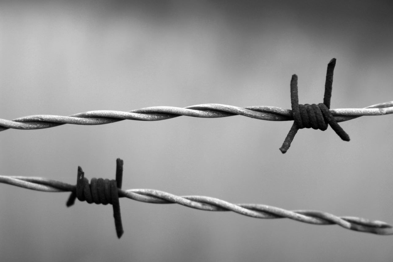 Danger Dictature Fascisme France Gouvernement Interdiction Manifestation