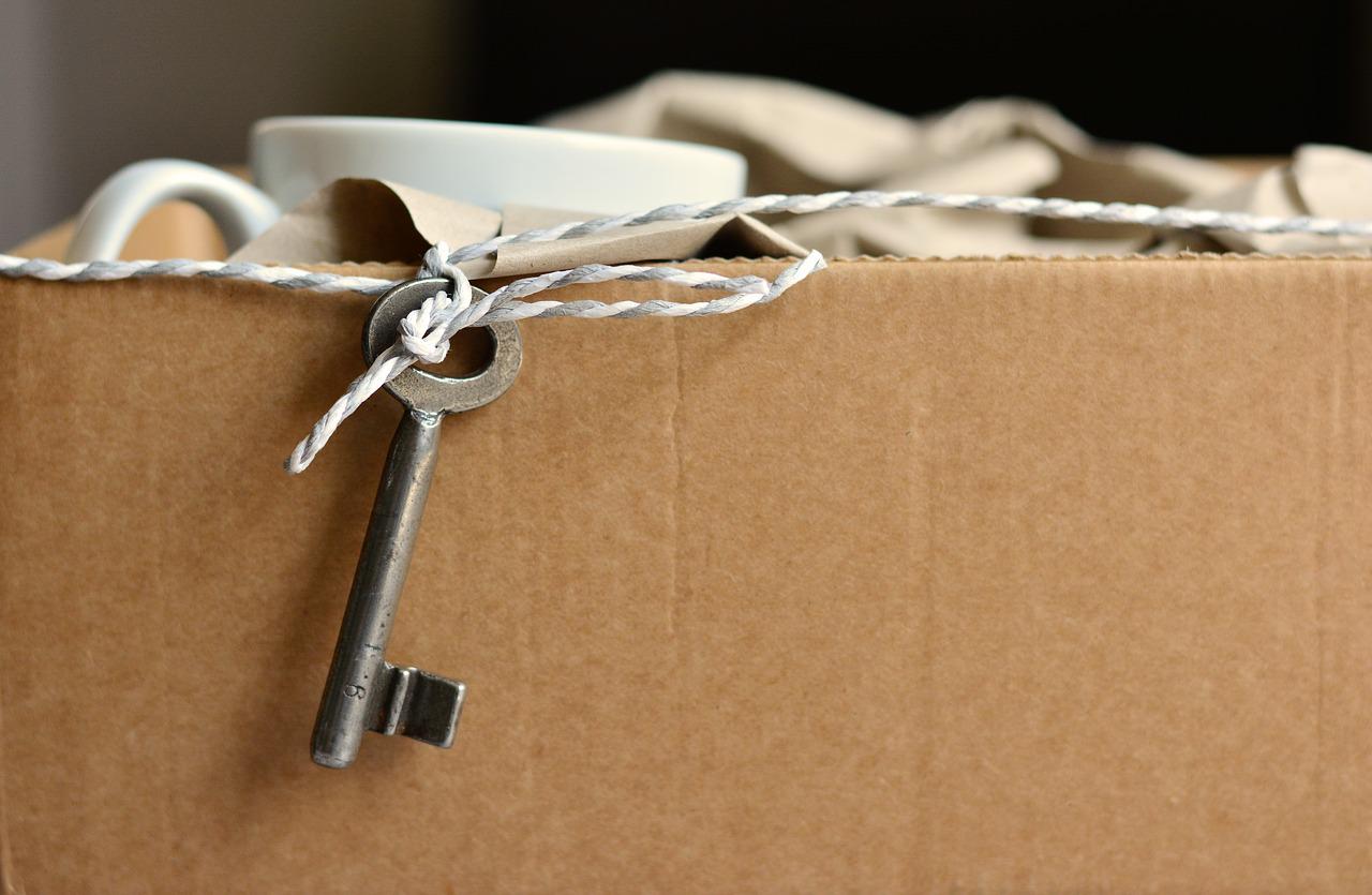 Demenagement Cartons Cout 1