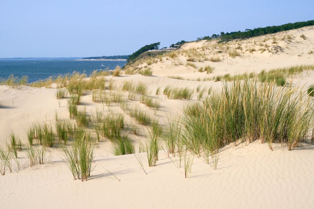 Dune Pilat Expropriation Etat Protetion Tourisme Propriete