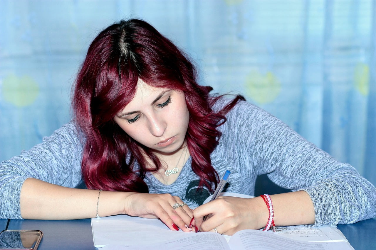 Ecole Pays Bas Etude Amelioration Reforme Equite Qualite