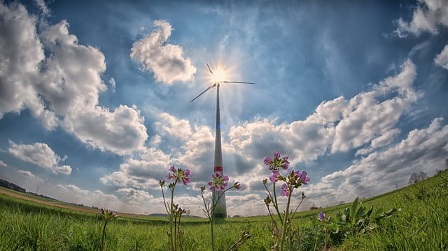 Energies Renouvelables Secteur Emplois Cout Francais