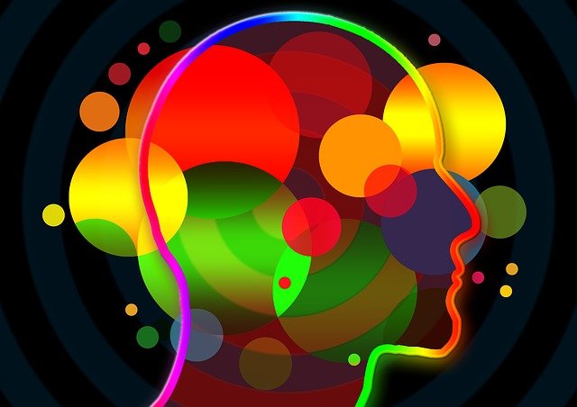 Entreprises Management Empathie Developpement Salaries