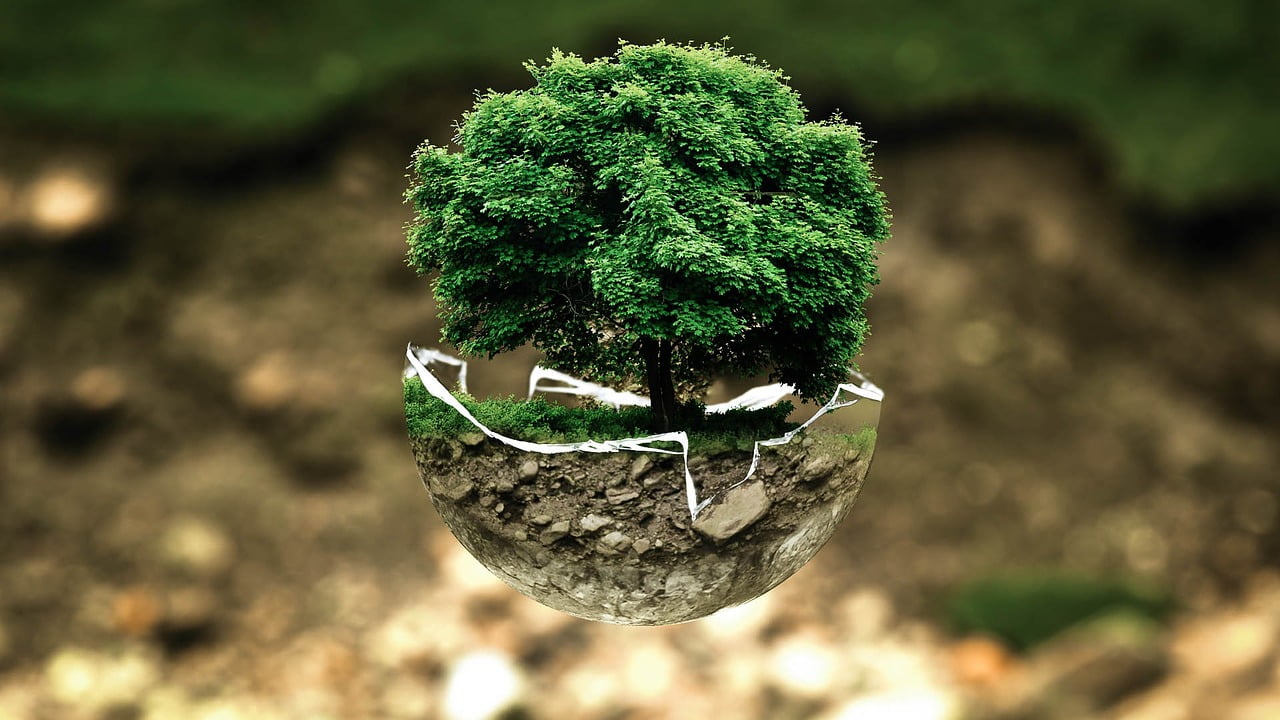 Environnement Argent Croissance Entreprises Pays Monde Technologie