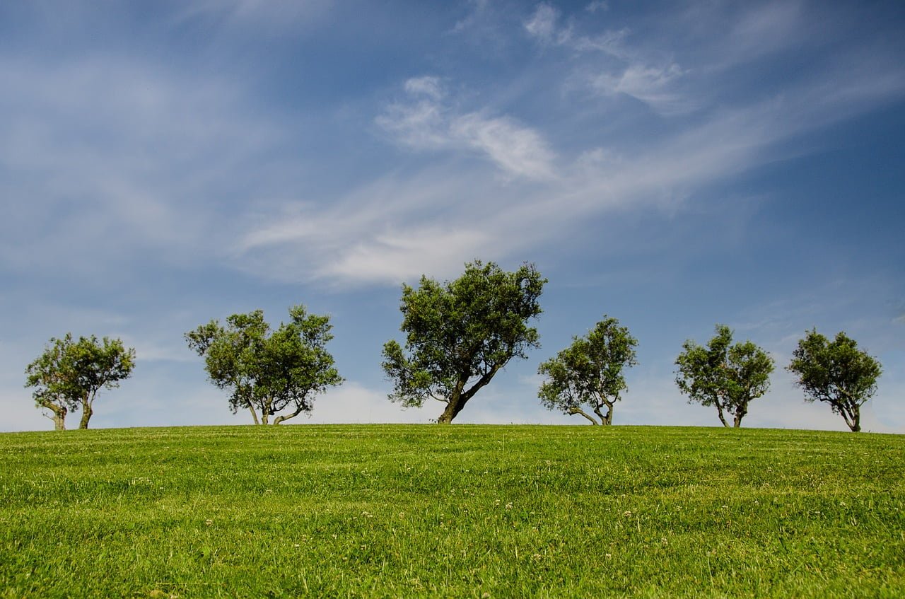 Environnement Prime Salaries 2