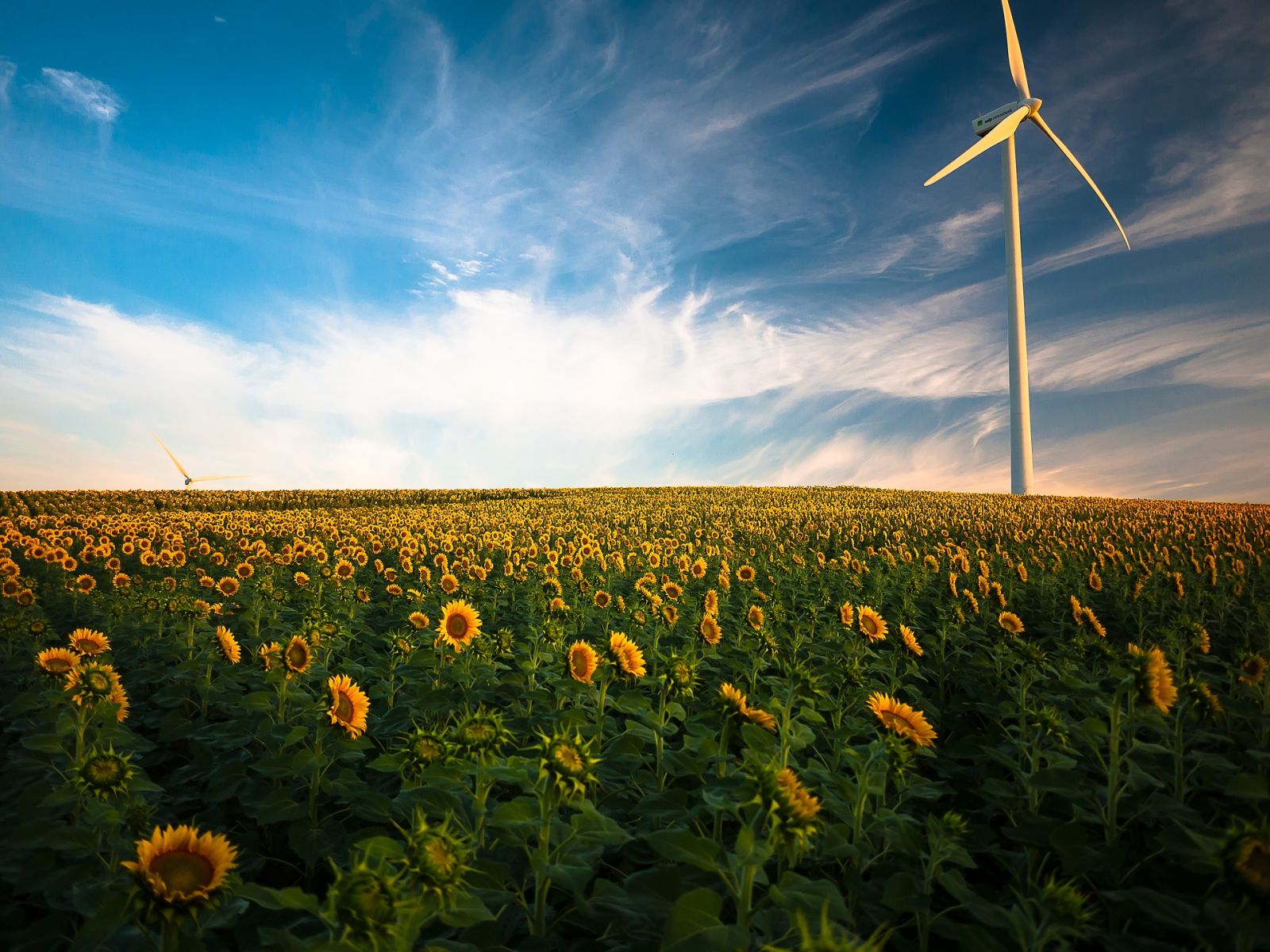 Eolienne Agriculture