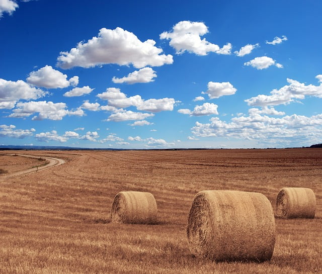France Agriculture Pouvoir Achat Francais