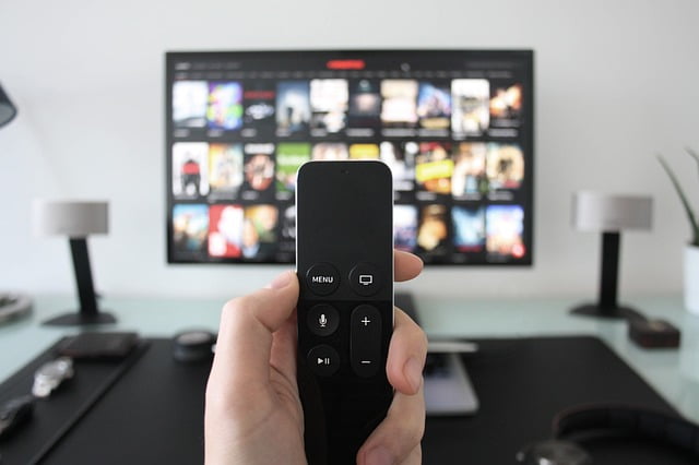 France Audiovisuel Salaries Intermittents Statut