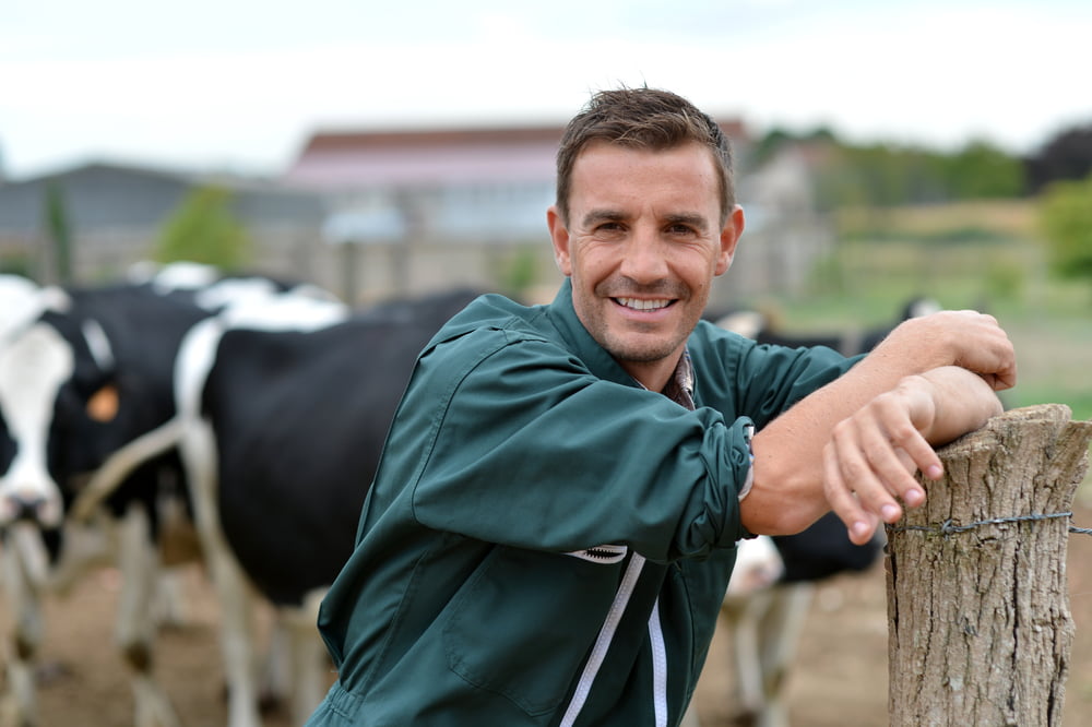 France Crise Agriculteurs Prix Viande