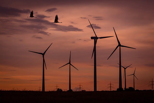 France Energies Renouvelables Francais Mentalites