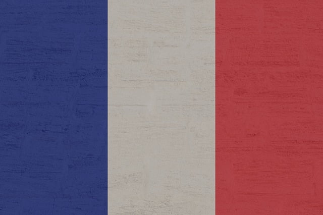 France Strategie Think Tank Etat