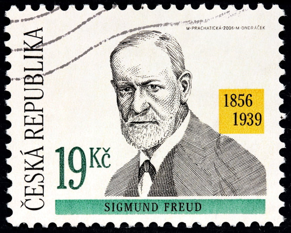Freud Livre Raphael Krivine Psychanalyse