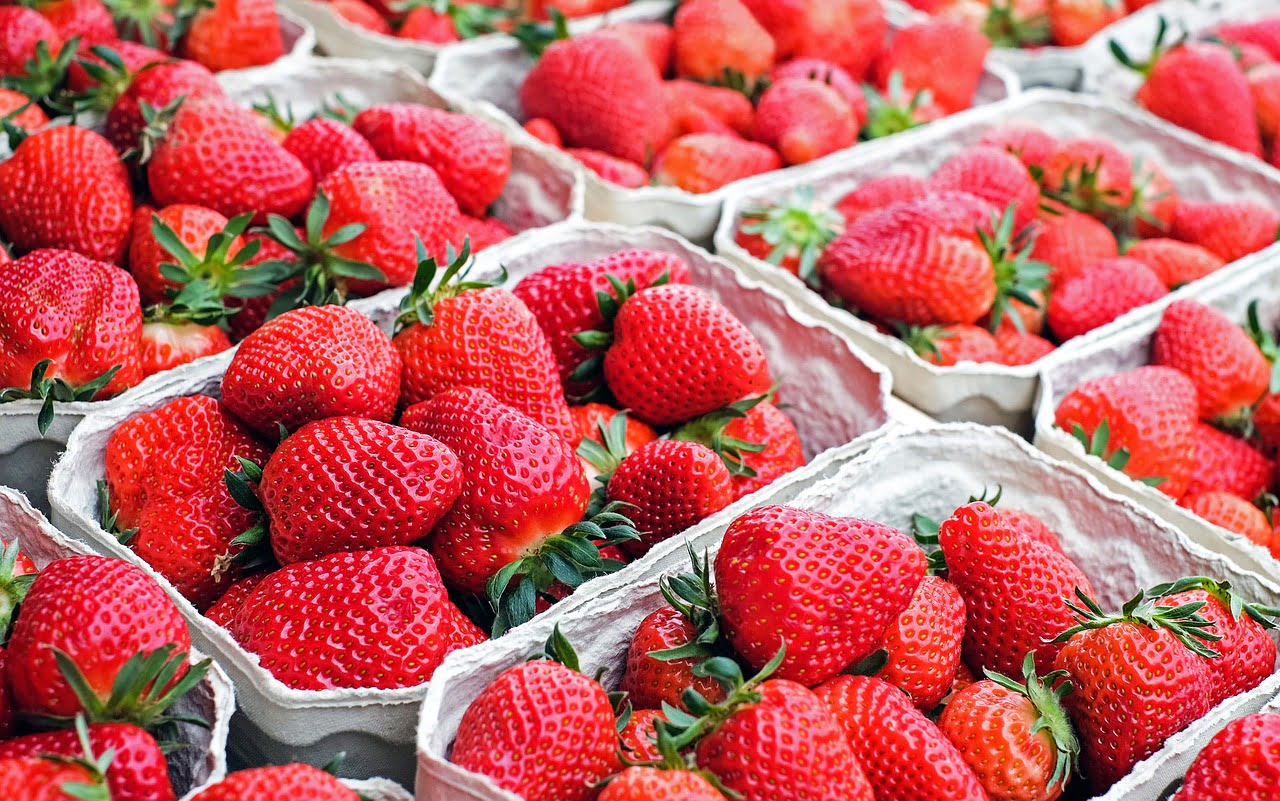 Fruits Legumes Record Prix 1