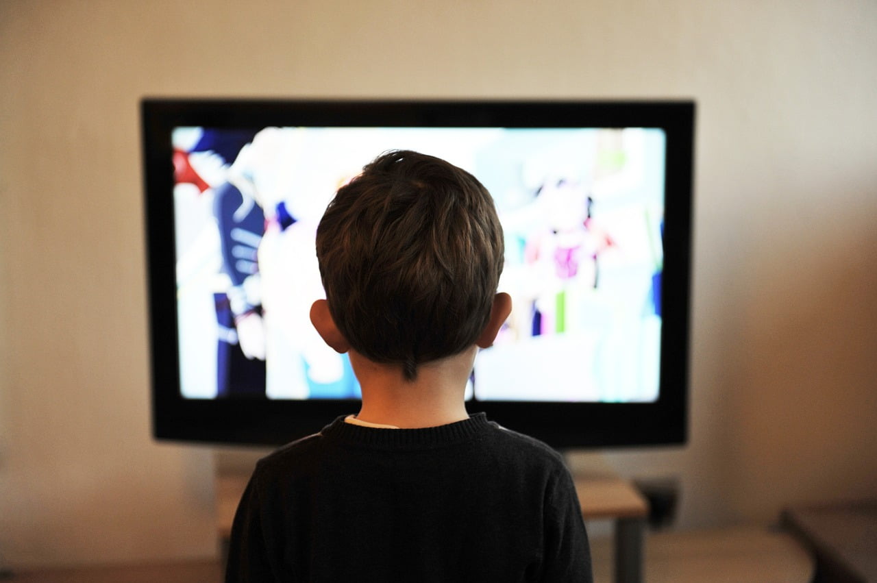 Habitudes Consommatin Video Netflix Series Binge Watching