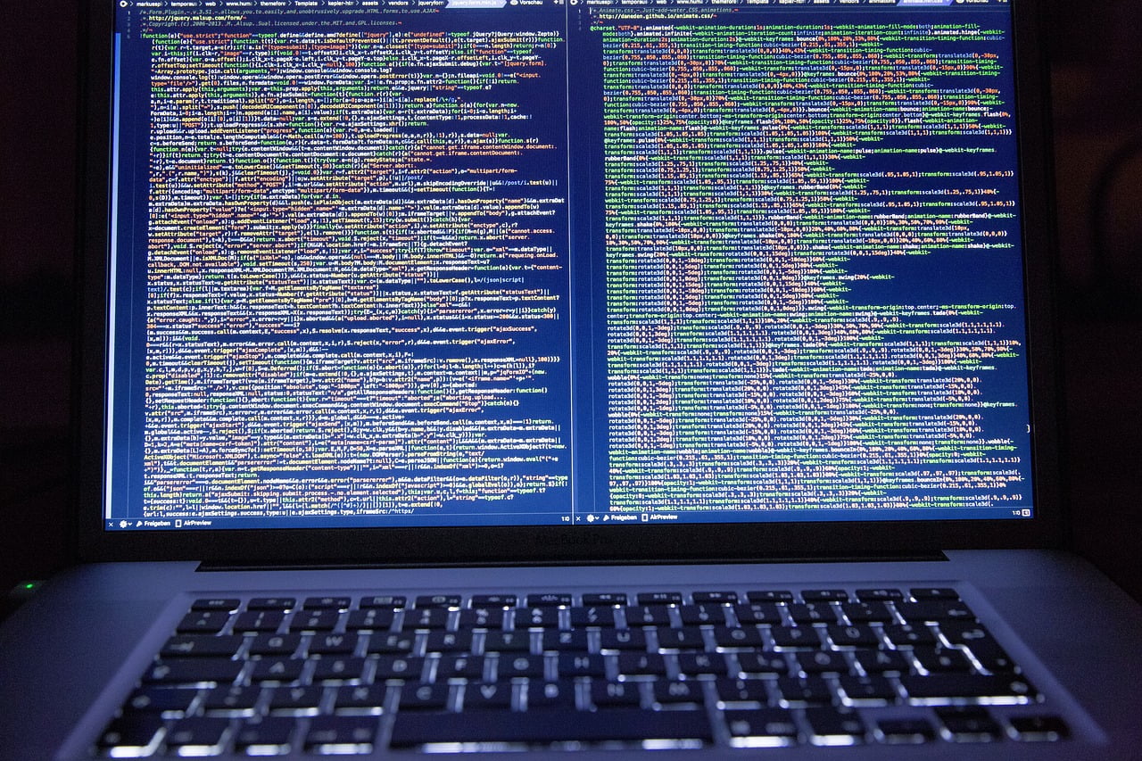 Hacker Pirate Ransomware Danger Victime Argent Paiement
