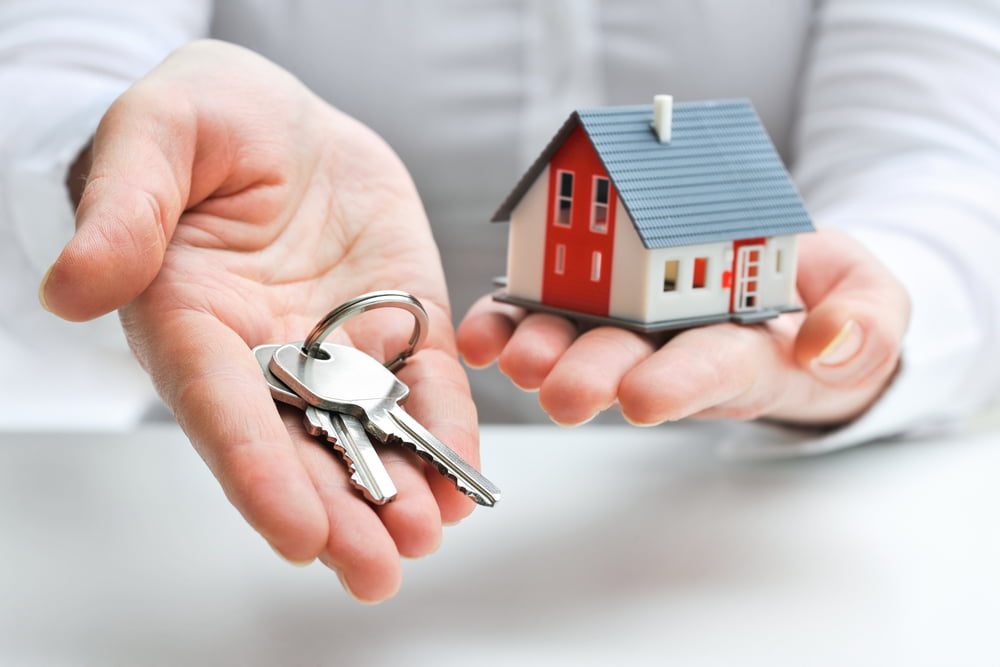 Immobilier Credit Taux Emprunt