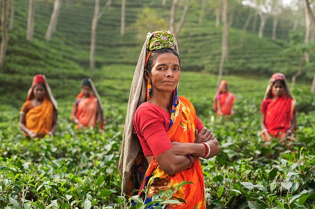 Inde Experience Societe Sans Cash