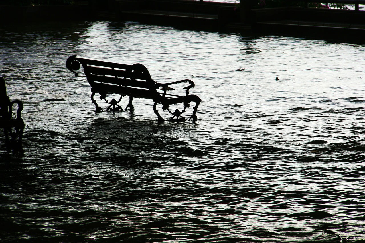 Inondations Paris Cout 1