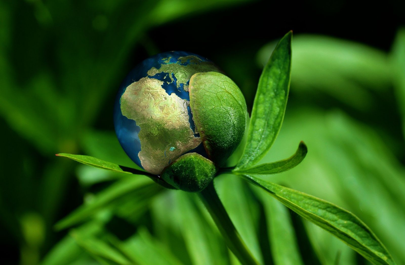 Jour Depassement Ecologie Planete