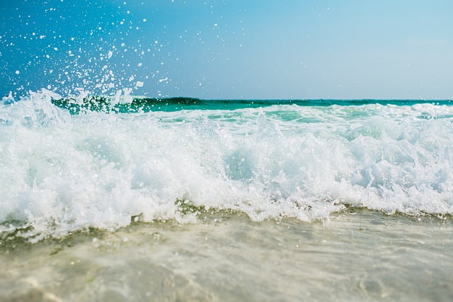 Mercator Ocean Entreprises Protection Mer