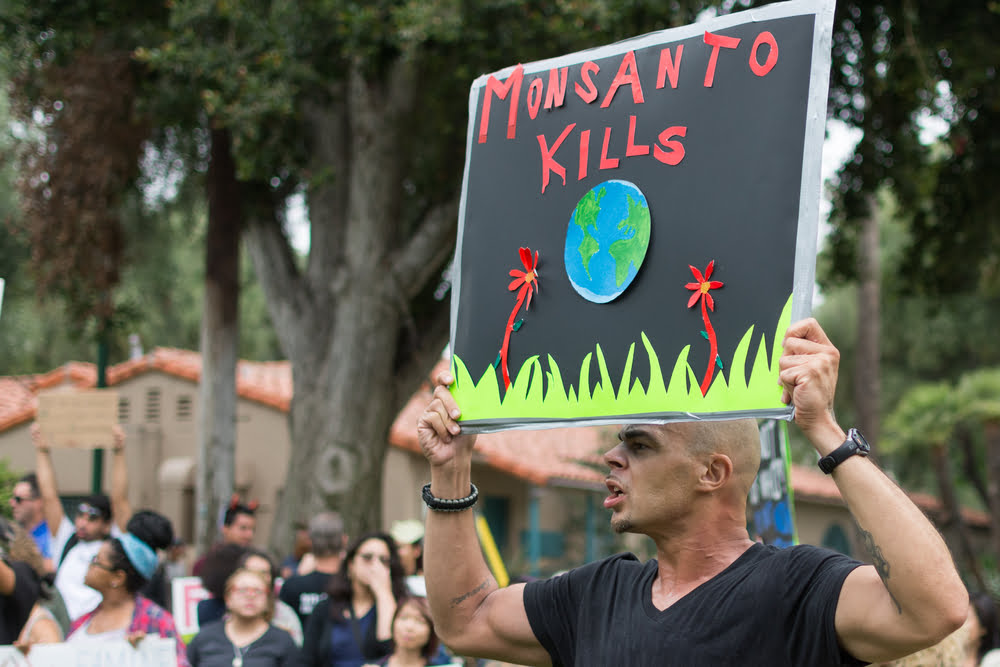 Monsanto Lobby Ogm Glyphosphate Recherche Europe