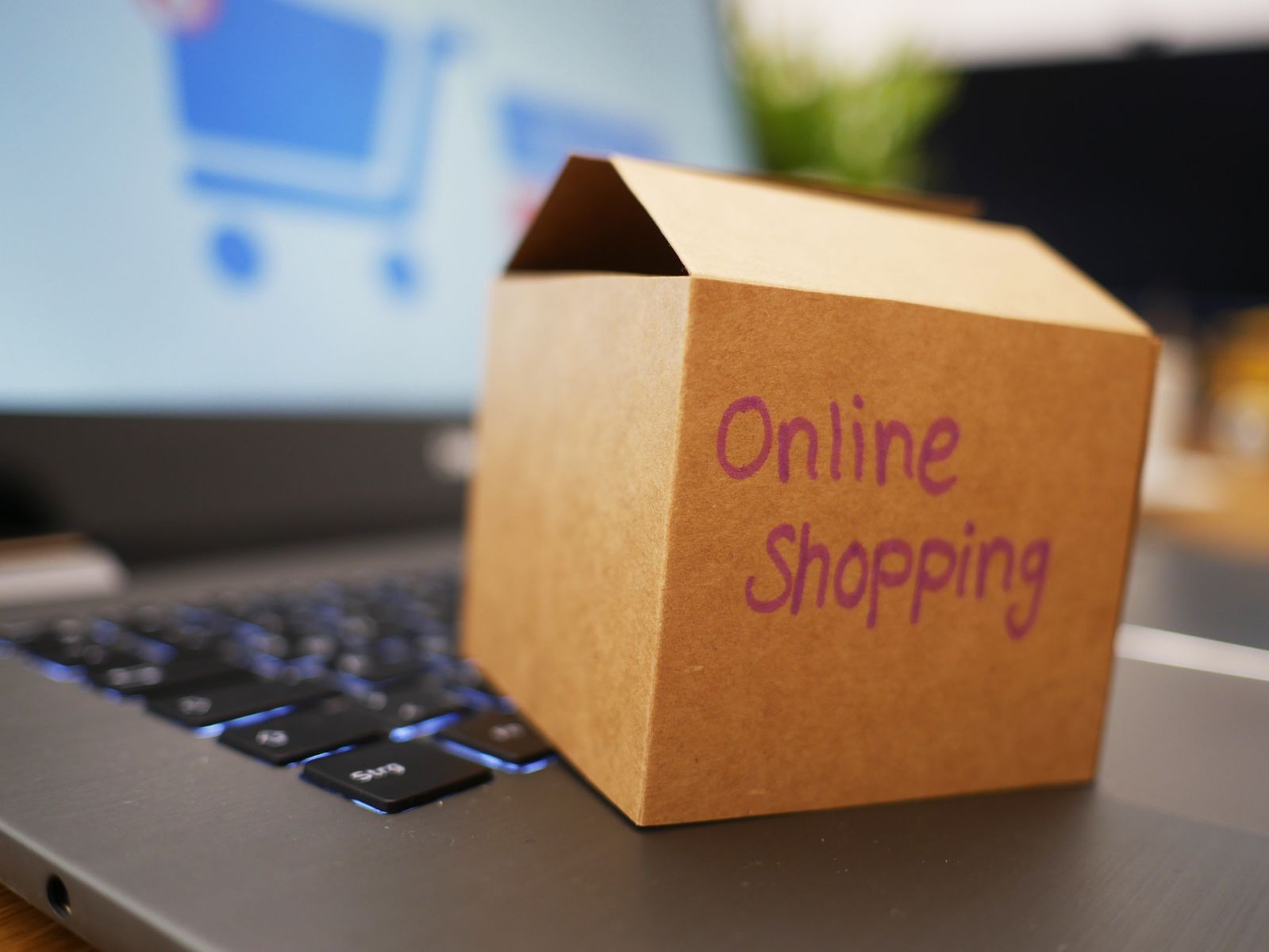 Online Shopping 4532460 1920