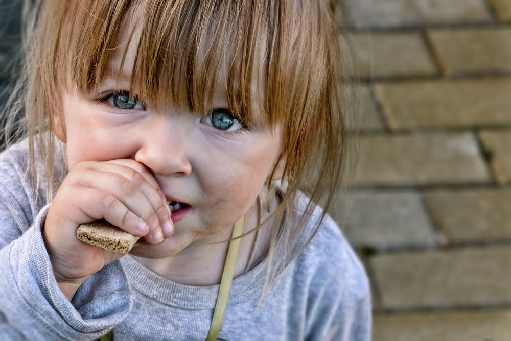 Pauvrete Enfants Peur Barometre Secours Populaire