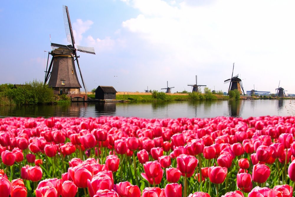 Pays Bas Renouvelables Defi Energetique Environnement Cop21