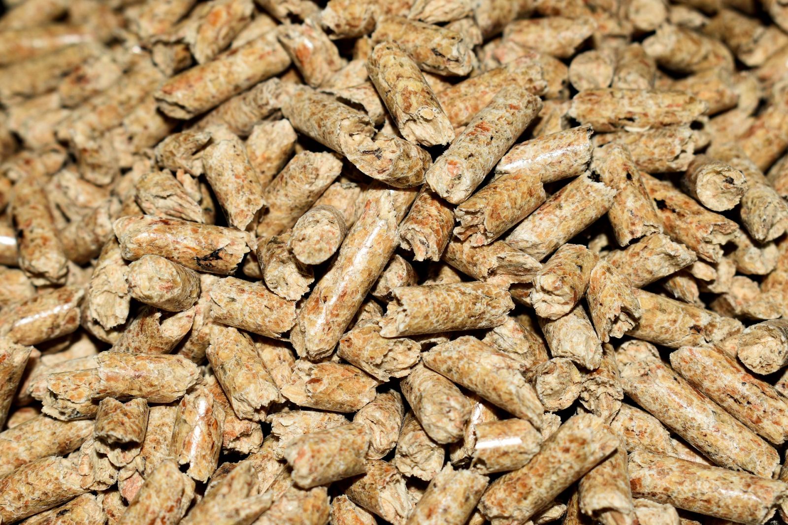 Pellets 4844847 1920