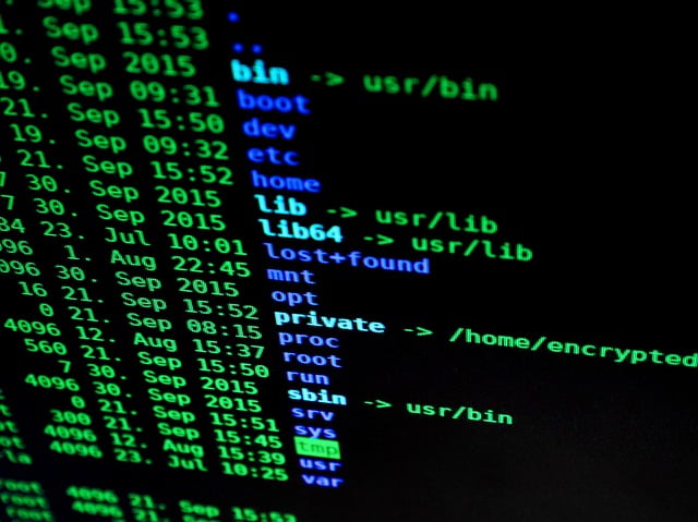 Piratage Arnaque Sms Banque Vitcitme Fraude
