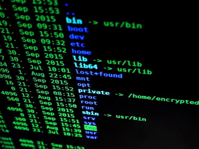Piratage Arnaque Sms Banque Vitcitme Fraude
